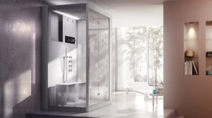 wellness jacuzzi sauna