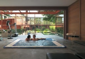 wellness jacuzzi w domu