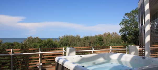 Wanna-SPA-ogrodowy-basen-caloroczny-Jacuzzi